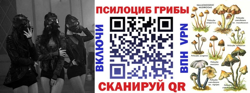Псилоцибиновые грибы Cubensis Облучье